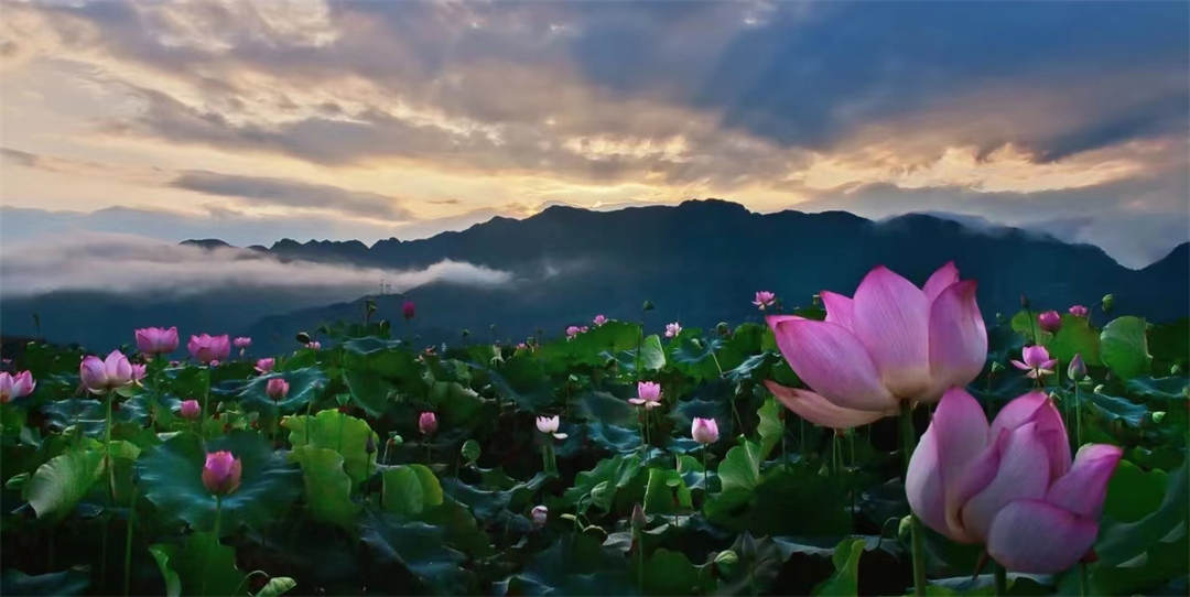 槍林企管分享：領導，你做的合格嗎？